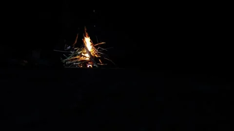 A fire burns in the night. The night and the fire. Camping with a campfire. Stock Footage 233117961
