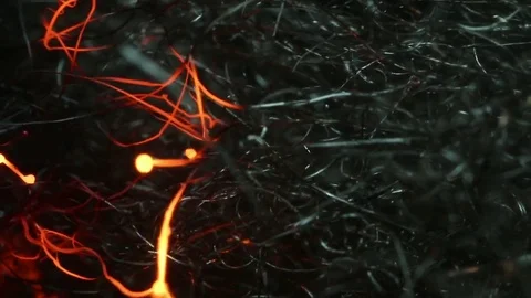 Fire Burns Quickly in Steel Wool Stock Footage 74526284