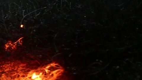 Fire Burns in an Up-Right Direction Stock Footage 74539958