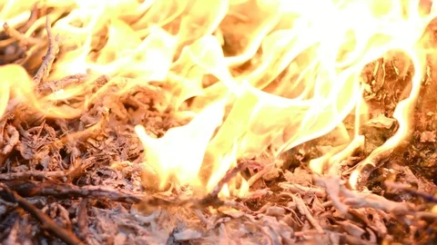 Fire burns rubbish Stock Footage 96207713
