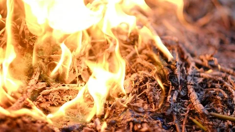 Fire burns rubbish Stock Footage 96207773