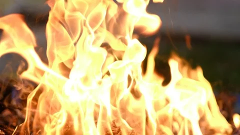 Fire burns rubbish Stock Footage 96207871