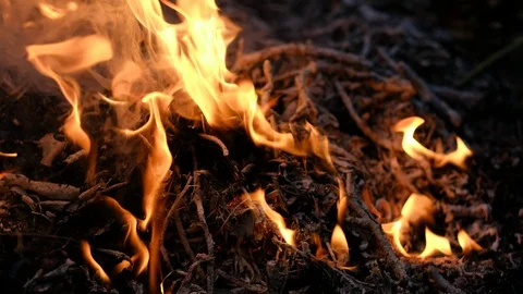 Fire burns rubbish Stock Footage 96208230