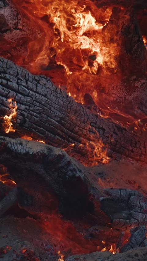 Fire burns slowly across charred wooden logs. Fire flames rise above blackened Stock Footage 344085352
