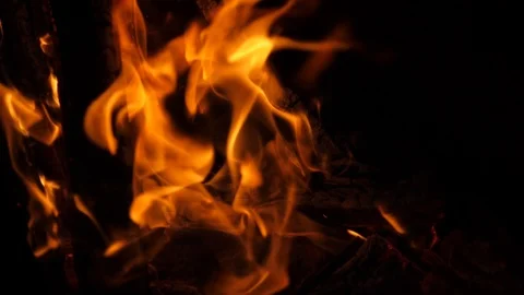 Fire burns slowly on a black background Stock Footage 97112142