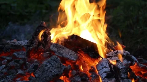 Fire burns at the stake made of coals, close up Stock Footage 133250737