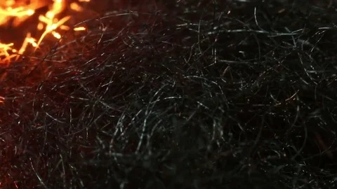 Fire Burns in Steel Wool MAC Stock Footage 74528446