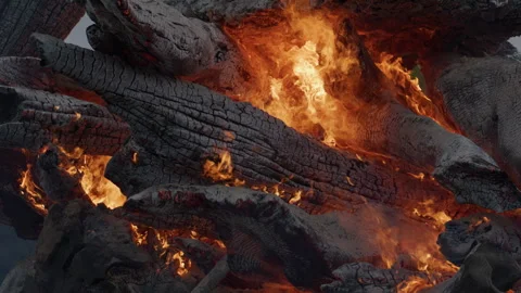 Fire burns through massive charred logs. Fire wood. Fire logs and glowing embers Stock Footage 342638500