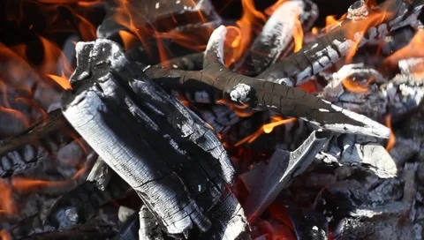 Fire burns a tree in a fire Vídeo Stock 97185933