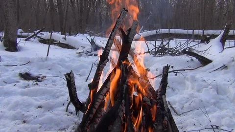 A fire burns in the winter forest Stock Footage 122517081