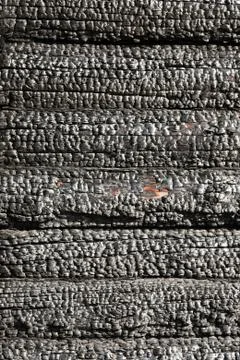 Fire burnt log Stock Photos