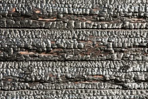 Fire burnt log Stock Photos