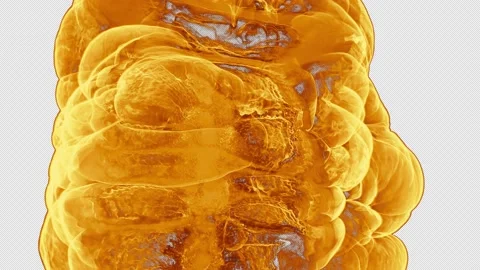 Fire Burst Transition 1 Stock Footage 167671550