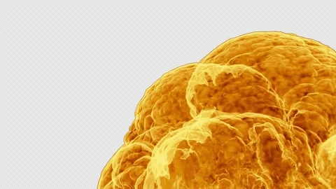 Fire Burst Transition 4 Video stock 167671909