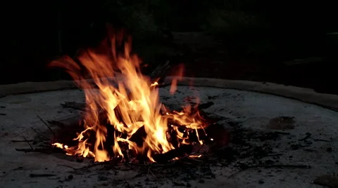 Fire bush boma 2 Stock Footage 48128121
