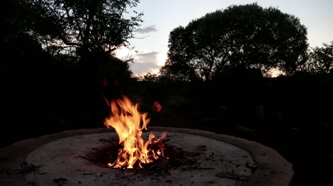 Fire bush boma 3 Stock Footage 48128736