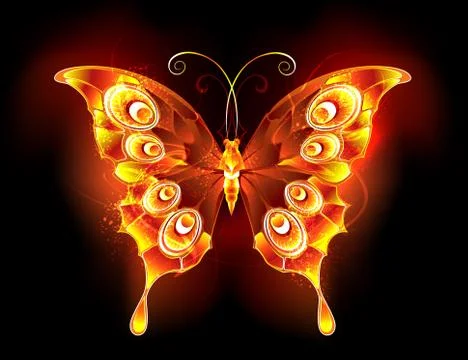 Fire butterfly peacock Stock-Illustration