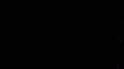 Fire To The Camera With Alpha Channel. Realistic fire with alpha channel. Stock Footage 236084293