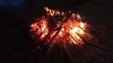 Fire camp at night in the forest for outdoor togetherness acivity Stock Footage 233468330