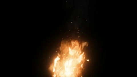 Fire. Campfire. Burning Fire. Blazing Fire. Flaming Stock Footage 266091284