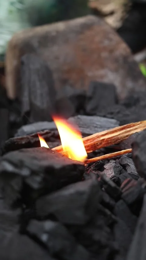 Fire campfire charcoal wood Stock Footage 335501426