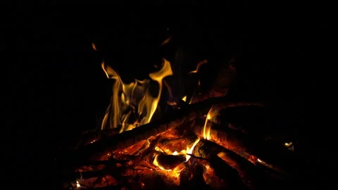 Fire on campfire red wood coals, 8x 240 fps slow motion Stock Footage 86282848