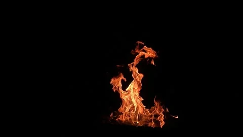 Fire in a campfire, slow motion video Stock Footage