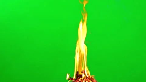 Fire camping and flame burn glowing on green screen background  Stock Footage 228890375