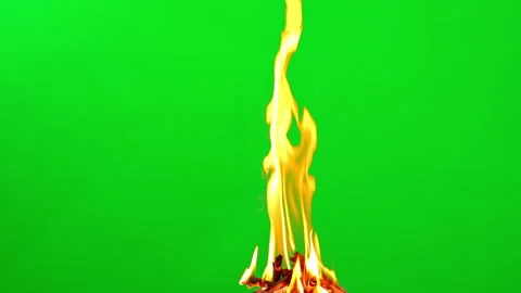 Fire camping and flame burn glowing on green screen background  스톡 동영상 228890395