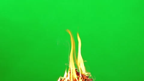 Fire camping and flame burn glowing on green screen background  Stock Footage 228890733