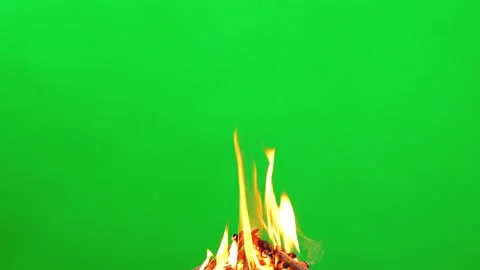 Fire camping and flame burn glowing on green screen background  스톡 동영상 228890740