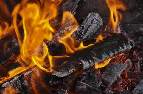 Fire in a camping in close view Stock Photos