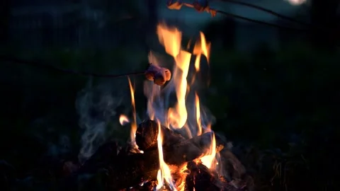 Fire In Camping. Grilled Marshmallow On Stick. Sitting Near Bonfire Stock Footage 220053353