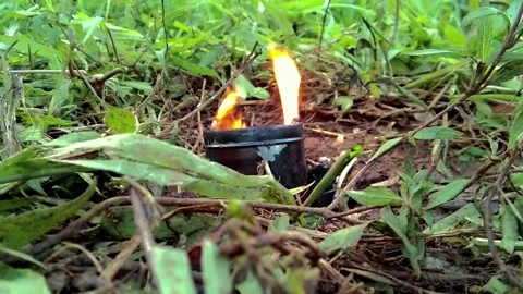 The fire in the can as a light at night in the middle of the forest Stock Footage 228805168
