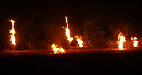 Fire Cannabis Plants in a foarm Stock Footage 293184014