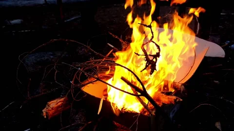 Fire in the cardboard box Stock Footage 154550115