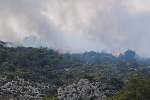 Fire caused by human thoughtlessness in summer with extreme heat temperatures Stockfoto's