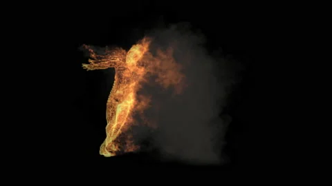 Fire Character, With Alpha matte. Stockbeeldmateriaal 204934393