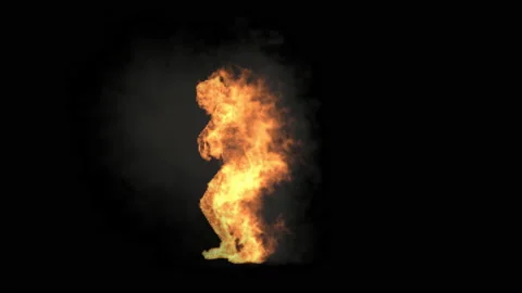 Fire Character, With Alpha matte. 库存影片 206094793