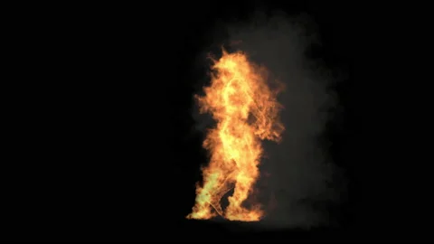 Fire Character, With Alpha matte. 库存影片 208946133