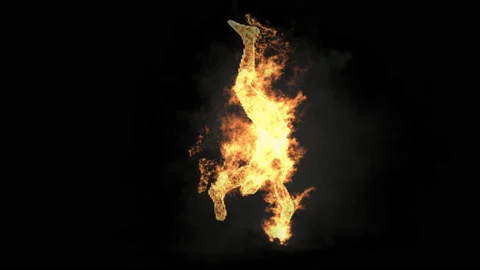 Fire Character, With Alpha matte. 库存影片 215919926