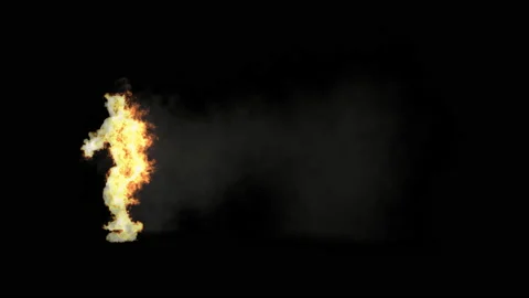 Fire Character, With Alpha matte. 库存影片 234065813