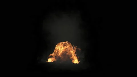 Fire Character, With Alpha matte. 库存影片 234065834