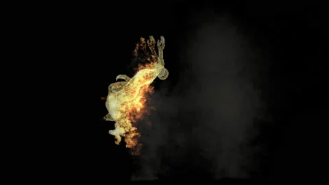 Fire Character, With Alpha matte. Stock Footage 239361802