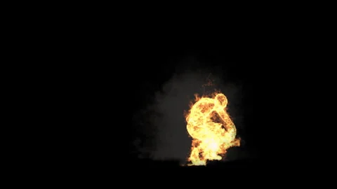 Fire Character, With Alpha matte. 库存影片 254021547