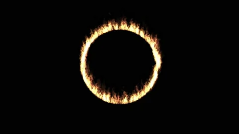 Fire circle motion graphics with night background Stock Footage 156893429
