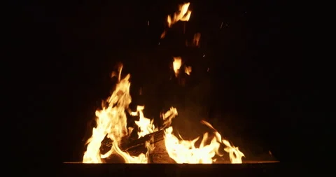 Fire Close Up Burning Wood in Fire Pit on Black Background Stock Footage 343523213