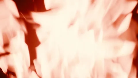 Fire close-up, flames of campfire burning in sharpness and shallow depth of Stock Footage 318722510