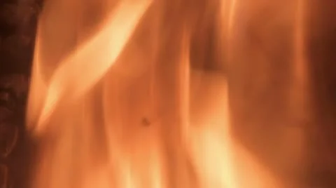 Fire close-up Video stock 11829150