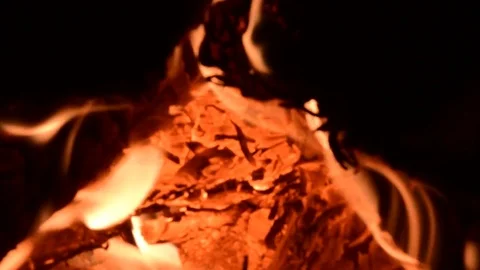 Fire close up Stock Footage 84317982